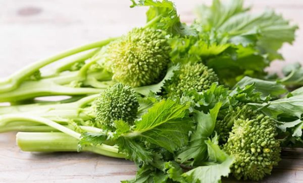 cime di rapa broccoli di rapa broccoletti friarielli beneficii e controindicazioni